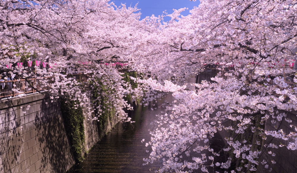 Nakameguro