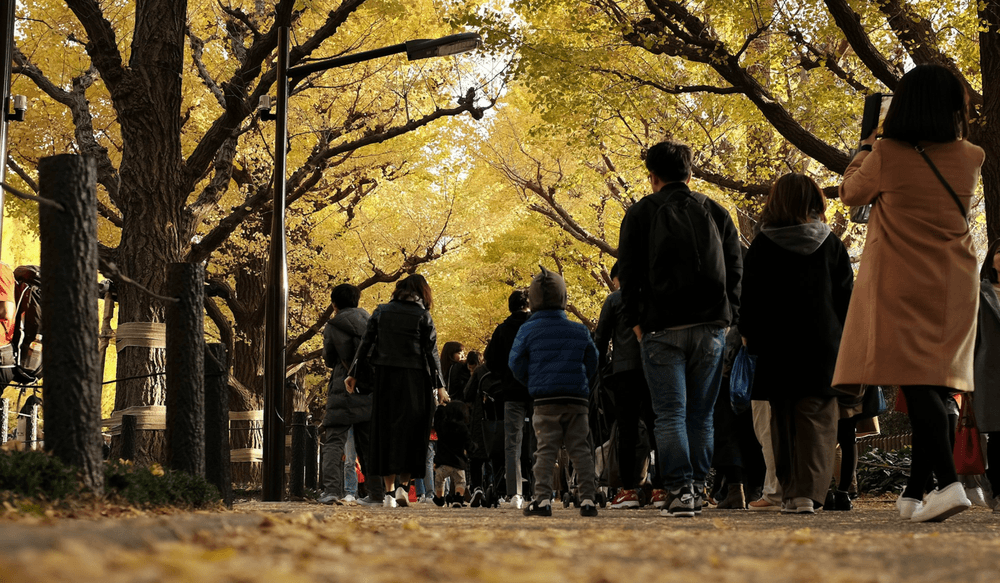 Japon à lautomne (2)