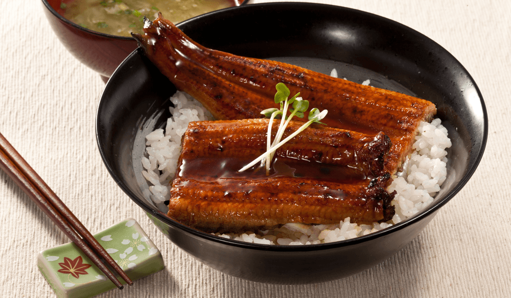 Unagi Don