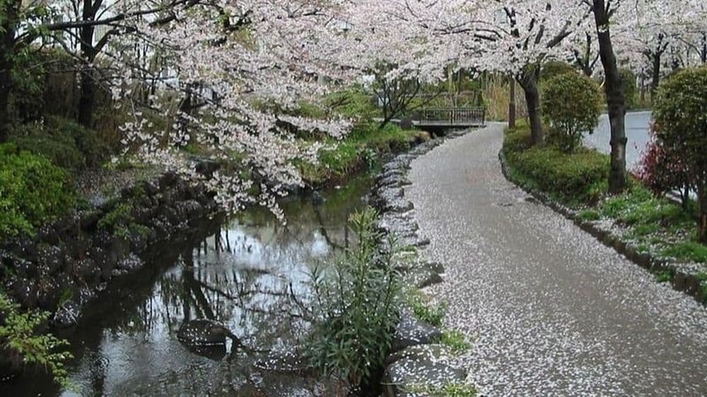 Shinsui-Kôen