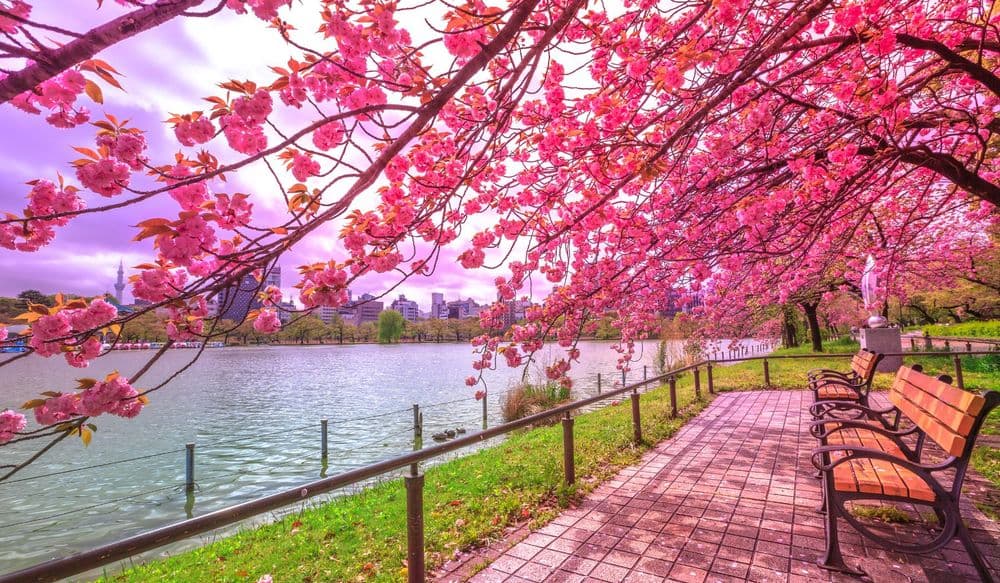 park_tokyo