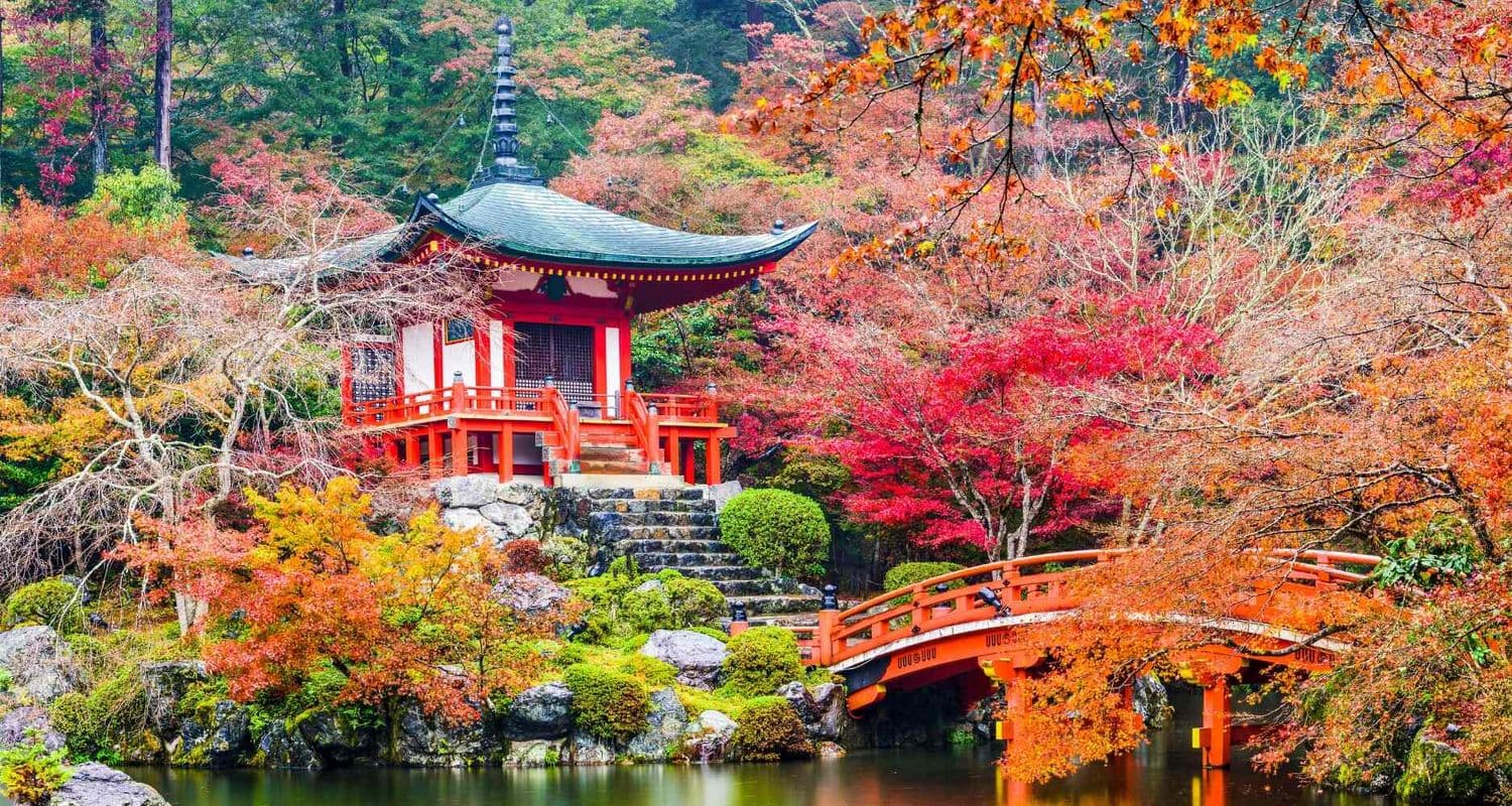 autumn in japan-1