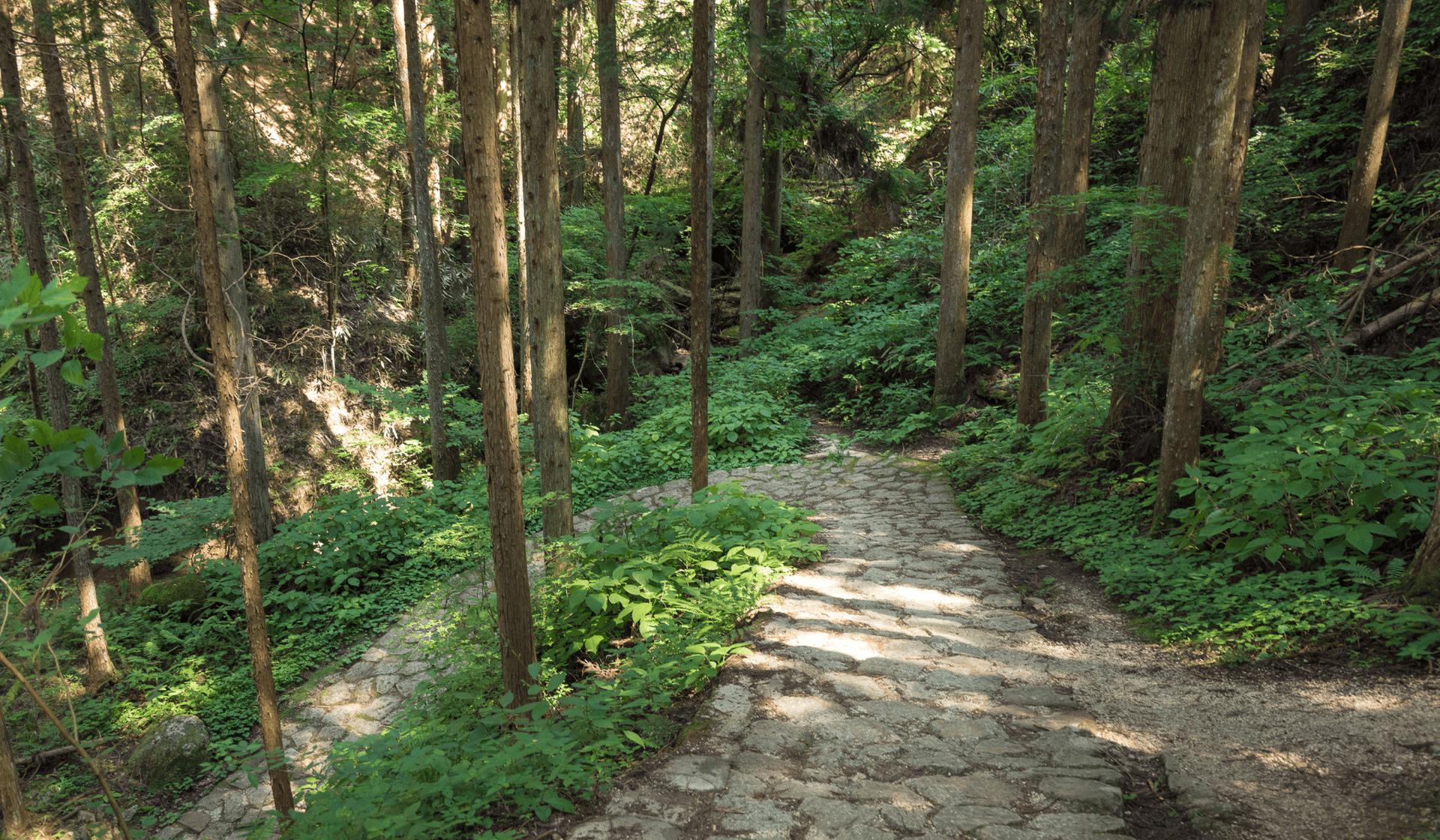 nakasendo way