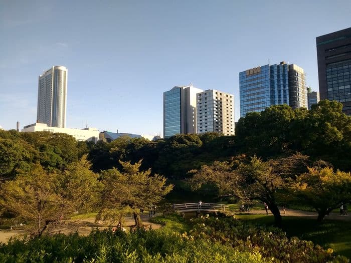 Japaventura
