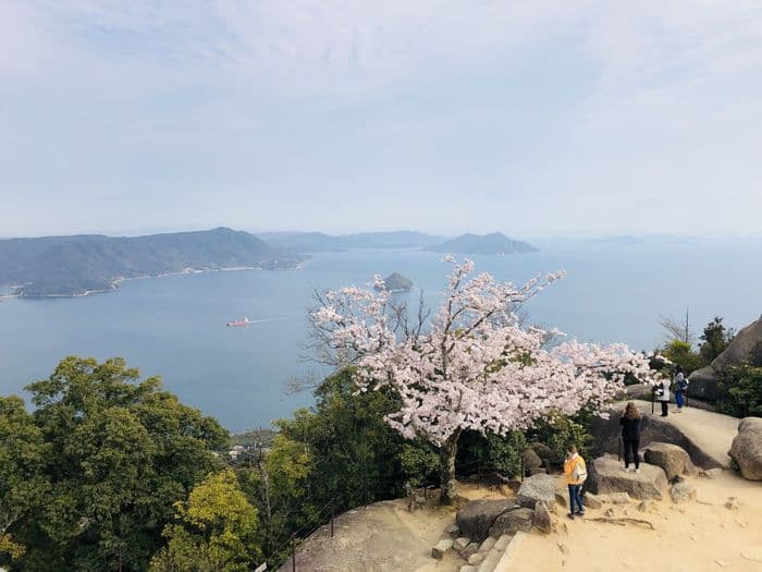 Japaventura