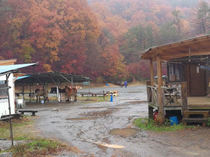 Grey weather in Japan