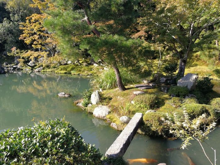 Japanese Garden
