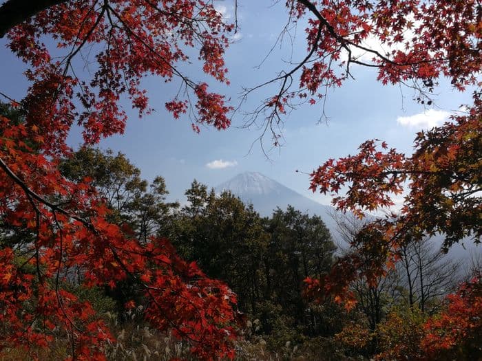 Fuji at Koyo