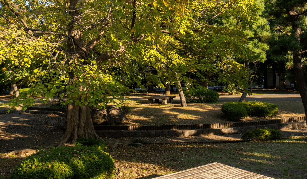 Kiyosumi garden tokyo