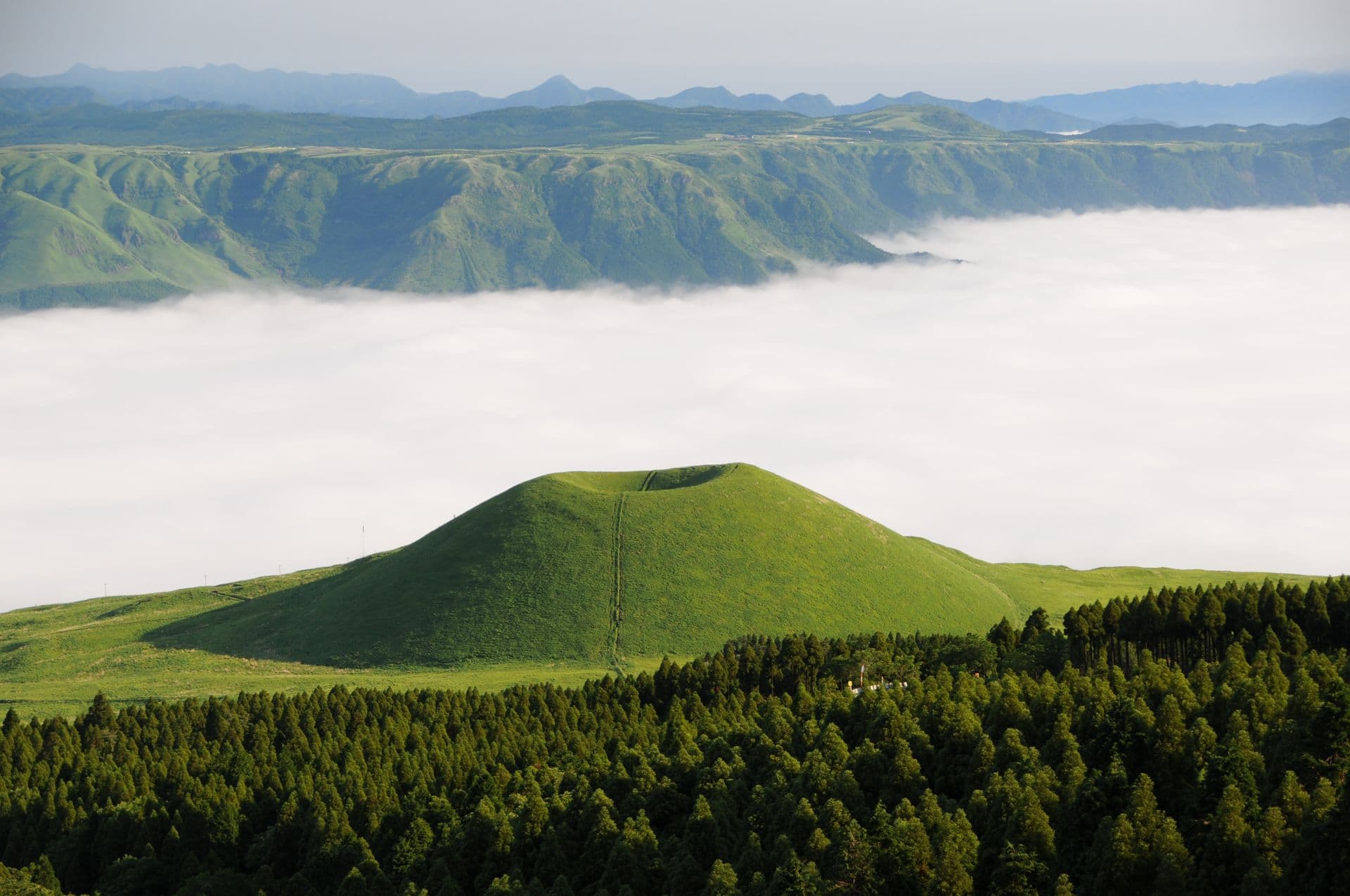 Kusasenri