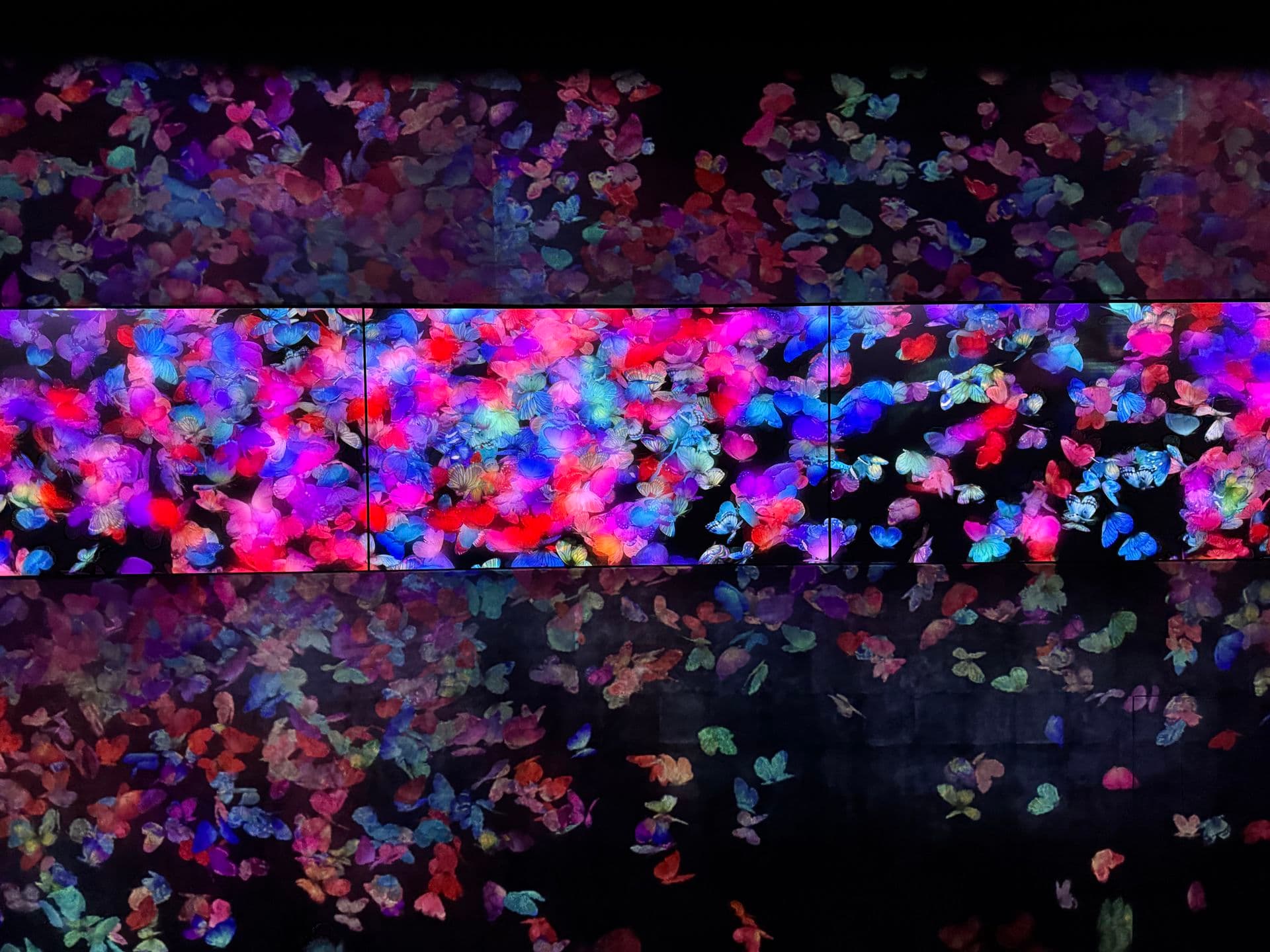 TeamLab