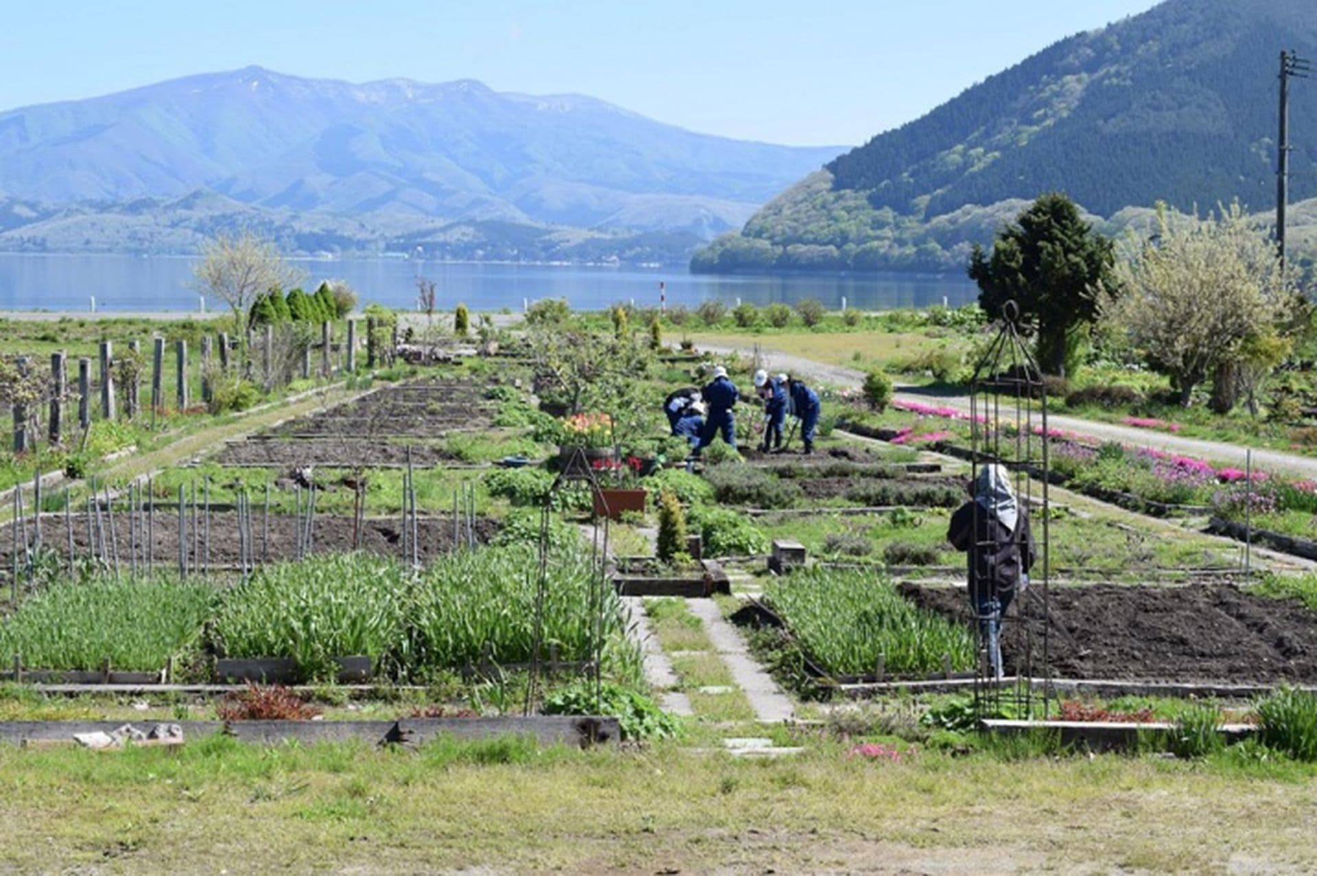 Farmstay Semboku