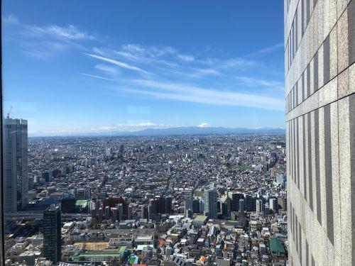Der Blick auf Tokyo und Mt. Fuji