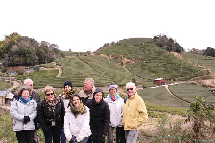 Tea field group picture