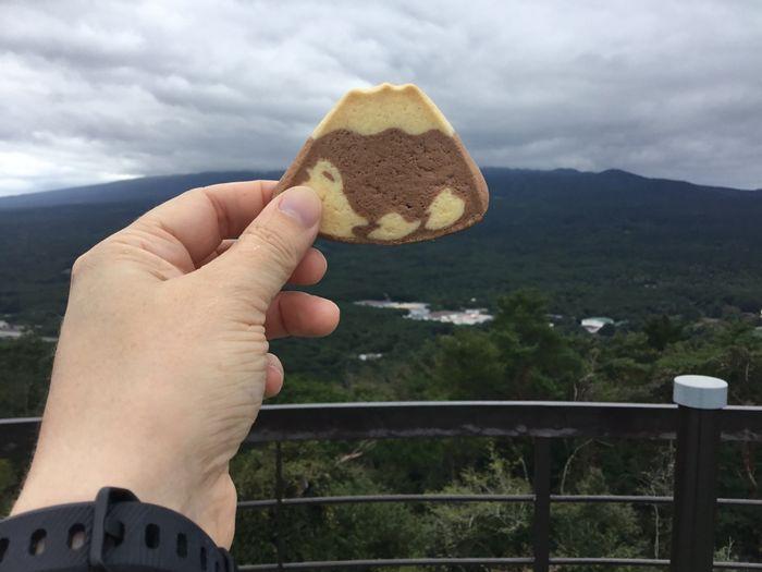Fuji cookie