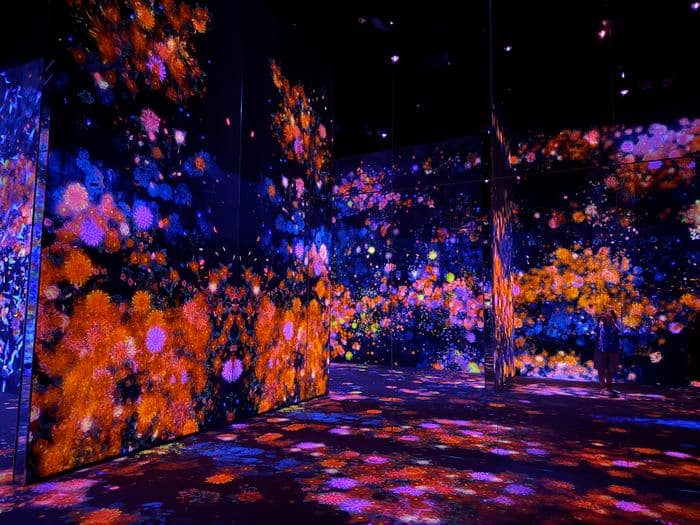 TeamLab