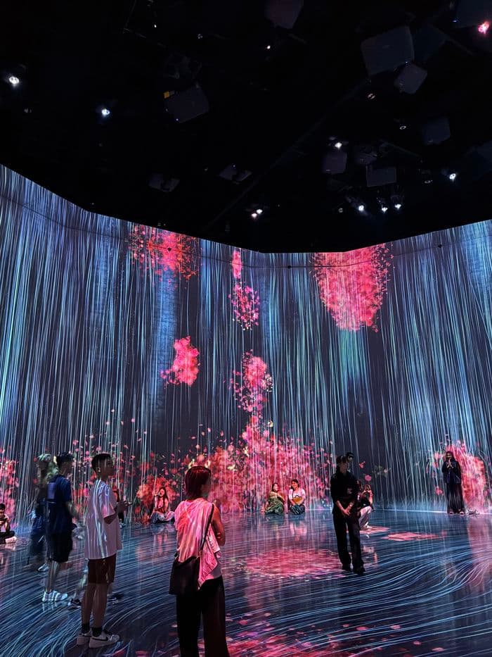 TeamLab