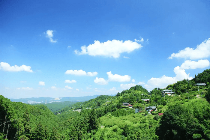 Yoshino - View