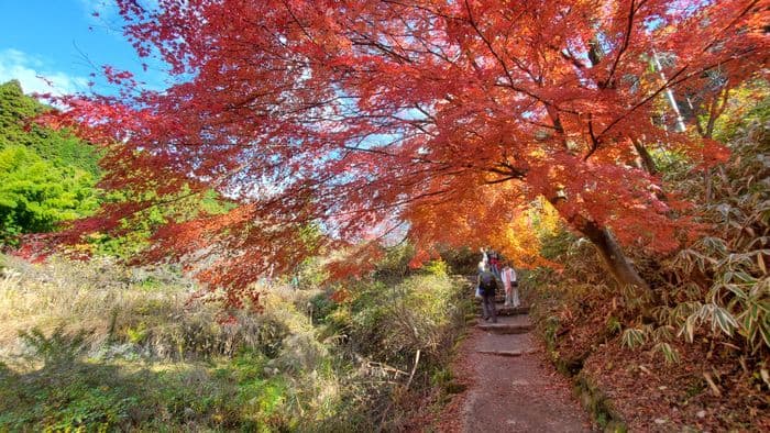 Herbstfarben in Nakasendo