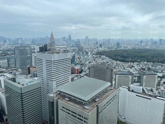 Tokyo Skyline