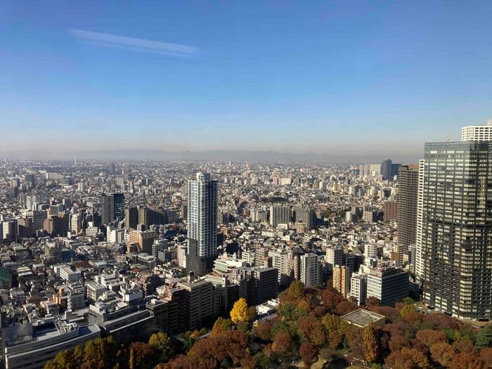 Tokyo Metropolitan Government Building