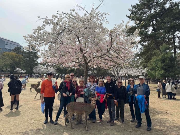 Der Nara Park