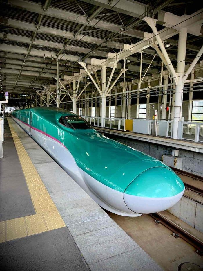 Mit dem Schimpansen nach aomori