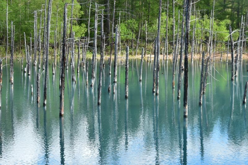 Shirogane Blue pond